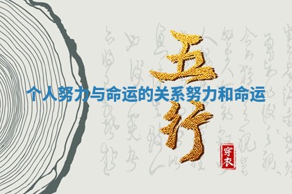 个人努力与命运的关系 💺 努力 🙆 和命运