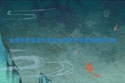 女属牛男属鼠的合吗_女属 🐢 牛男属鼠婚 😚 姻好不好