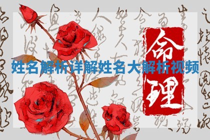 姓名解析详 🚡 解_姓名大 ♿ 解析视频
