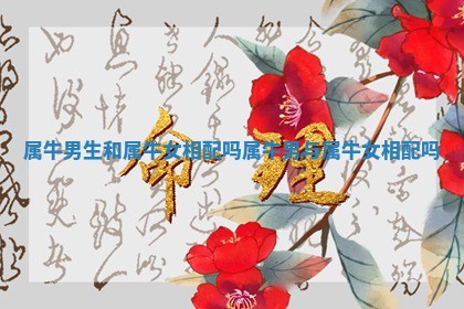 属牛男生和属牛女相配 🤛 吗_属牛男与属牛 👞 女相配吗 属牛男生和属牛女相配 🤛 吗_属牛男与属牛 👞 女相配吗
