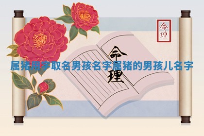 🔘 属猪用字取名男孩名字_属猪的 👽 男孩儿名字