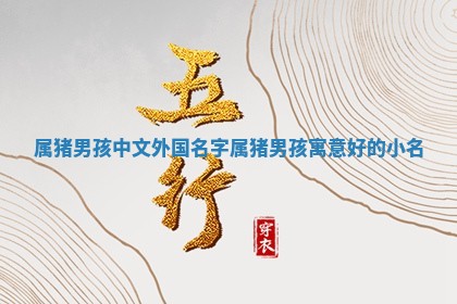 属猪男 🤪 孩中文 🛡 外国名字 属猪男孩寓意好的小名