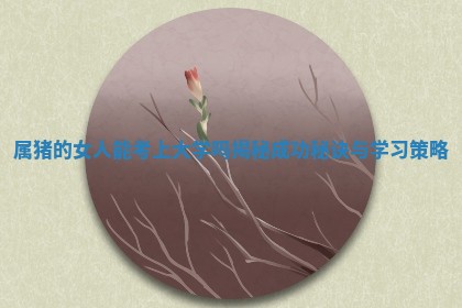 属猪的女人能 🌳 考上大学吗揭秘成功秘诀与 🌹 学习策略