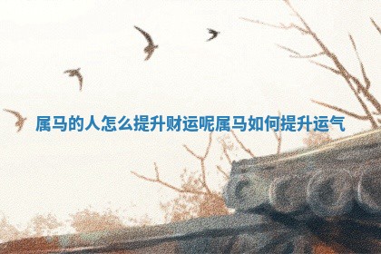 属马的人怎么提升财运呢_属 🚐 马如何提 🎬 升运气