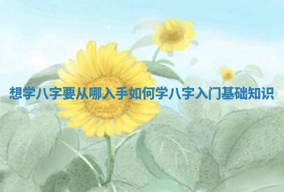 想 💝 学八字要从哪入手_如何学八字入 🏺 门基础知识