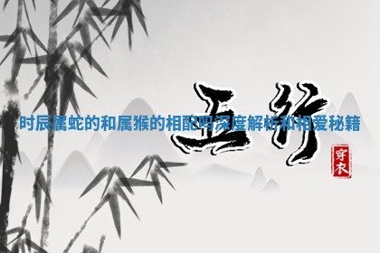 时辰属蛇的 😒 和属猴的相配吗深度解析和相 👏 爱秘籍