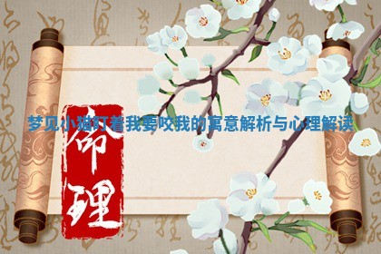 梦见 ⛲ 小猫盯着我要咬我的寓意解析与心理解 📶 读
