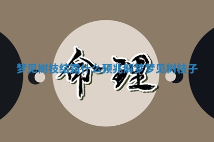 梦见树枝结霜什么预兆解梦 ⚾ _梦见树枝子 👮